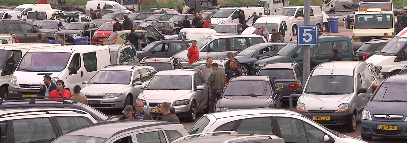 nieuwsbericht